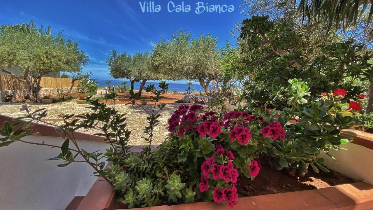 Villa Cala Bianca カステッランマーレ・デル・ゴルフォ エクステリア 写真